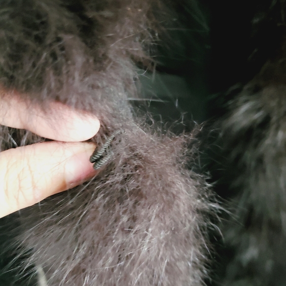 Vintage Marvin Richards Tuxedo Coat Fox Fur Trim - Picture 7 of 14